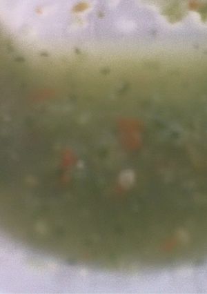 A picture of Easy Tomatillo Salsa Big Batch ( Approx. 3 QTS).
