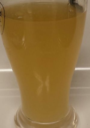 A picture of Jay's Mexican lemonade.