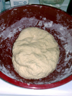 A picture of Patty's Easy Dumpling Dough.