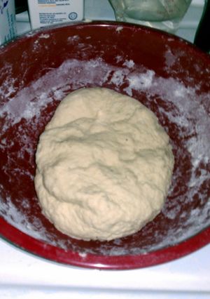 A picture of Patty's Easy Dumpling Dough.
