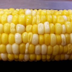 A picture of Perfect Sweet Corn.