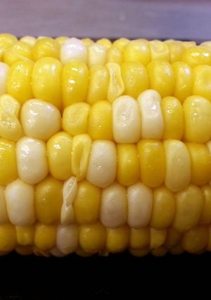 A picture of Perfect Sweet Corn.