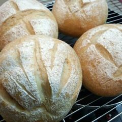 Whole Wheat Bread for Vegans or Vegetarians A picture of Whole Wheat Bread for Vegans or Vegetarians.