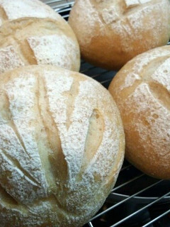 A picture of Whole Wheat Bread for Vegans or Vegetarians.