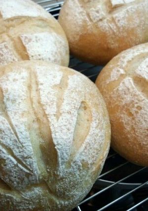 A picture of Whole Wheat Bread for Vegans or Vegetarians.