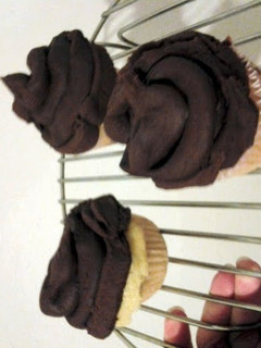 A picture of Plain Vanilla Cupcakes.