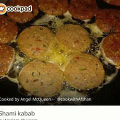 A picture of Shami kabab.