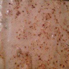 A picture of Cheesy Sour Cream Chicken Enchiladas.