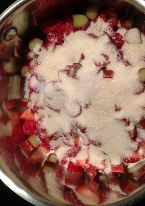 A picture of Raspberry Strawberry Rhubarb Jam.