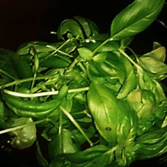 A picture of Tex's Microwave Dried Herbs 🌿.