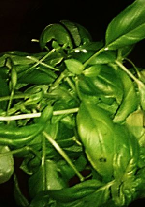 A picture of Tex's Microwave Dried Herbs 🌿.