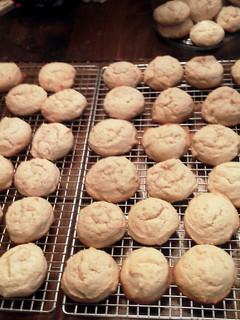 A picture of Sugar Cakes.