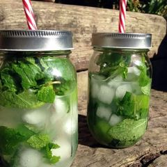 A picture of Mojito by the pitcher.