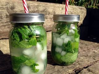Mojito by the pitcher
