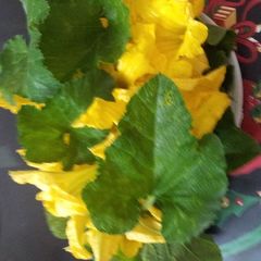 A picture of Onam Vibhavangal-Thoran(pumpkin leaves and flowers).