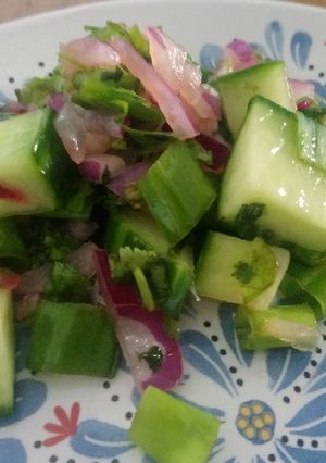 A picture of Cucumber Salsa.