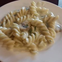 A picture of Alfredo Rotini Pasta.