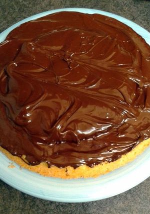 A picture of Giant Jaffa Cake!! :D.