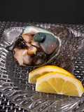 Fresh Turban Shell Sashimi