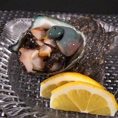 A picture of Fresh Turban Shell Sashimi.