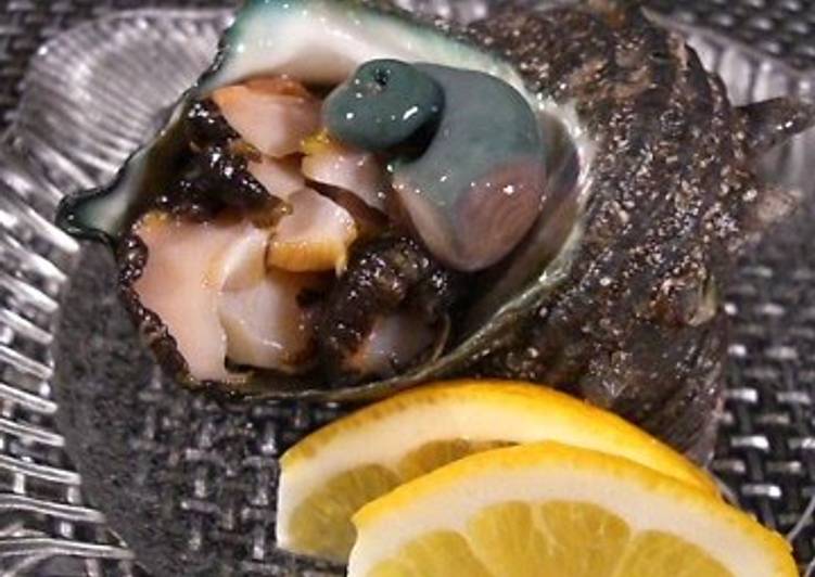 Steps to Prepare Perfect Fresh Turban Shell Sashimi