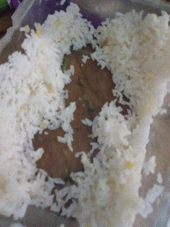 A picture of Easy Microwave Rice.
