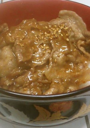 A picture of Sweet & Savory Pork Rice Bowl.