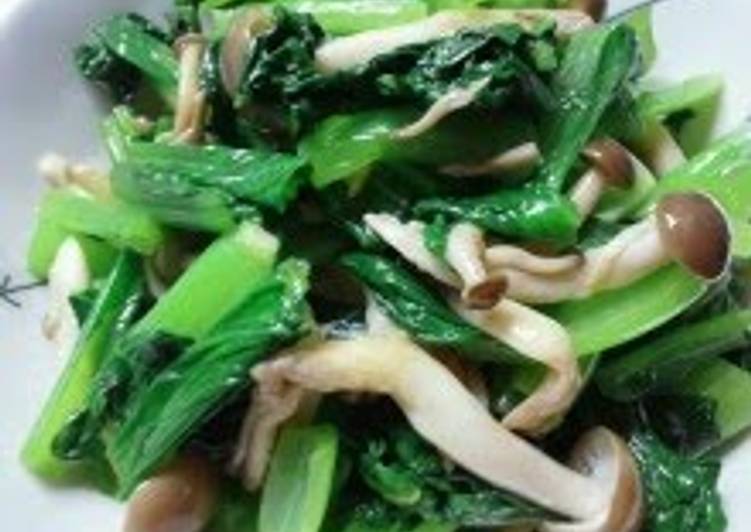 Recipe of Speedy Perfectly Nutritious Komatsuna and Shimeji Mushroom Namul