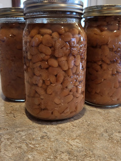 A picture of Canned Pinto Beans for Refried Beans.
