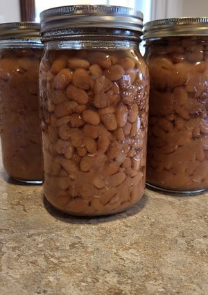 A picture of Canned Pinto Beans for Refried Beans.