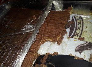 Una foto de Chocorta lincoln.😀 Rápida y sencilla