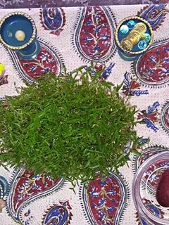 عکسی از دستور سفره هفت سین من