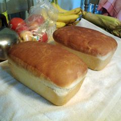 A picture of Amish White Bread.
