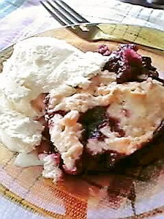 A picture of Apple & Mulberry Cobbler.