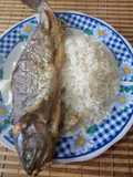 Trucha al horno