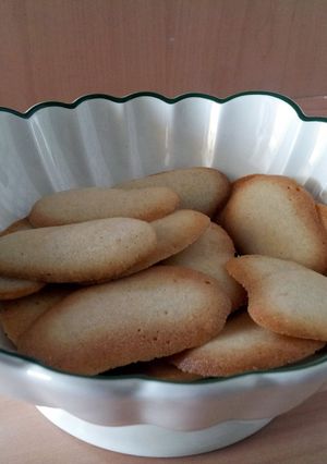 A picture of AMIEs Lenguas de Gato.