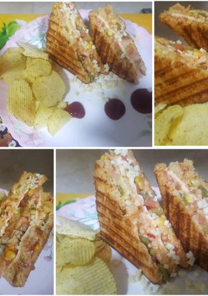 વેજી ડીલાઈટ ચીઝ સેન્ડવીચ (Veg Delight Cheese Sandwich Recipe In Gujarati) રેસીપી મુખ્ય ફોટો