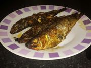 A picture of oil sardine