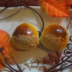 A picture of Chestnut Manju.