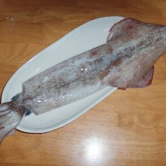 A picture of How to Prepare Squid.