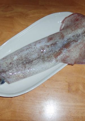 A picture of How to Prepare Squid.