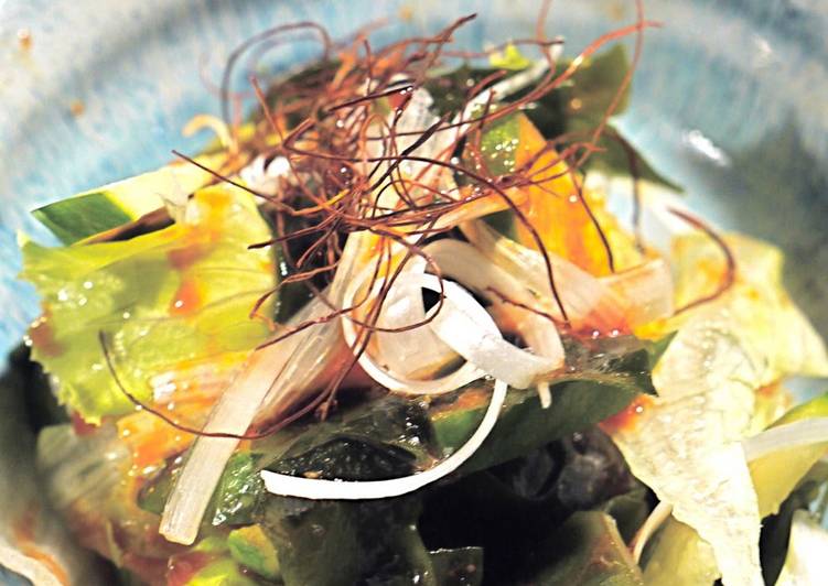 Recipe of Perfect Sweet, Salty, and Sour Wakame Salad with Bibimbap Noodle Sauce