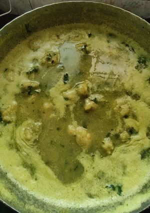 A picture of Bhadgola.