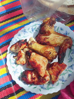 عکسی از دستور جوجه کباب