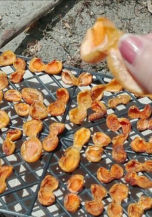عکسی از دستور زردآلو‌ خشکه 😍