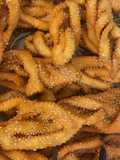Griwech