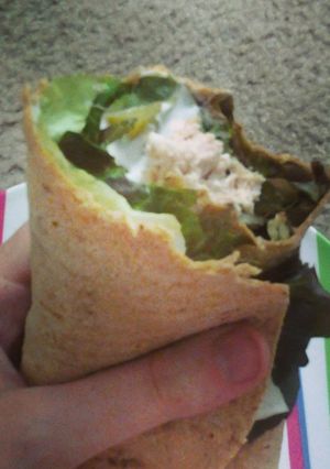 A picture of Low cal low fat turkey wrap.