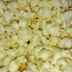 A picture of Popcorn.