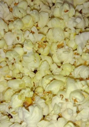 A picture of Popcorn.