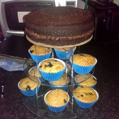 A picture of Sophie's vegan lemon & blueberry cupcakes.